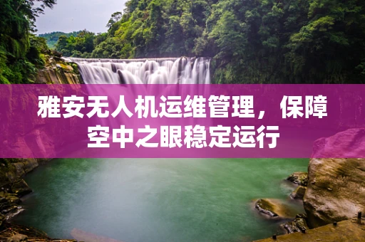 雅安无人机运维管理，保障空中之眼稳定运行
