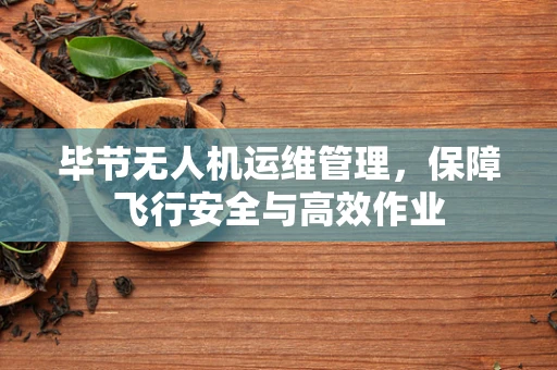 毕节无人机运维管理，保障飞行安全与高效作业