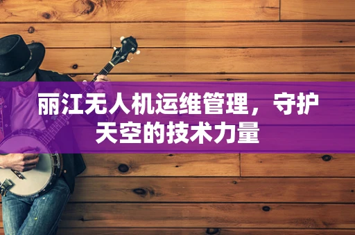 丽江无人机运维管理，守护天空的技术力量