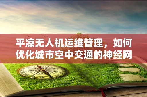 平凉无人机运维管理，如何优化城市空中交通的神经网络？