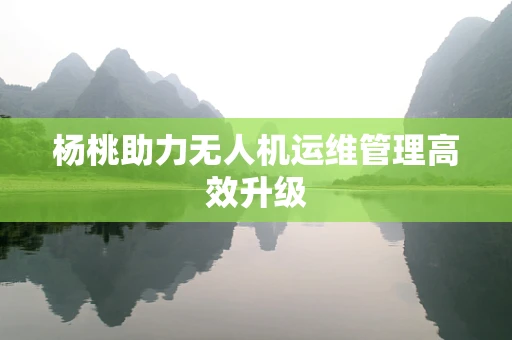 杨桃助力无人机运维管理高效升级