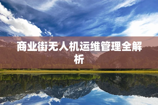 商业街无人机运维管理全解析