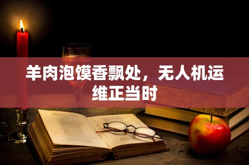 羊肉泡馍香飘处，无人机运维正当时