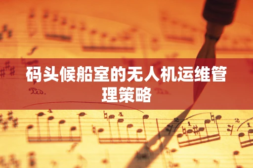 码头候船室的无人机运维管理策略