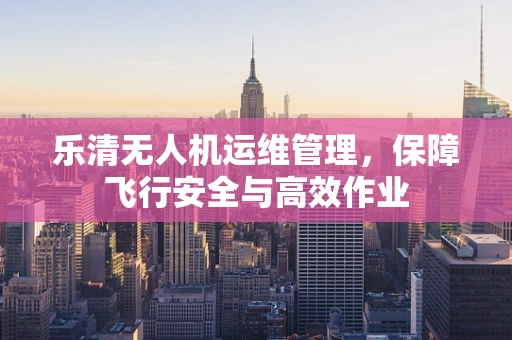 乐清无人机运维管理，保障飞行安全与高效作业
