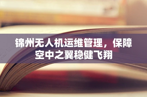锦州无人机运维管理，保障空中之翼稳健飞翔