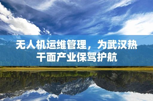 无人机运维管理，为武汉热干面产业保驾护航