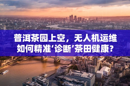 普洱茶园上空，无人机运维如何精准‘诊断’茶田健康？