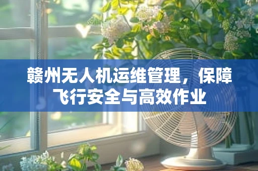 赣州无人机运维管理，保障飞行安全与高效作业
