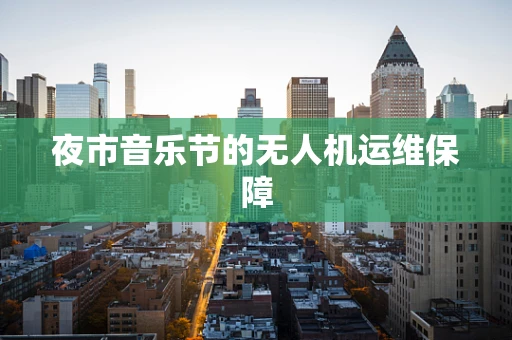 夜市音乐节的无人机运维保障