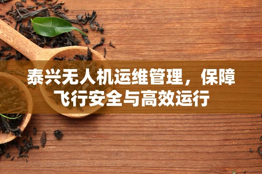 泰兴无人机运维管理，保障飞行安全与高效运行