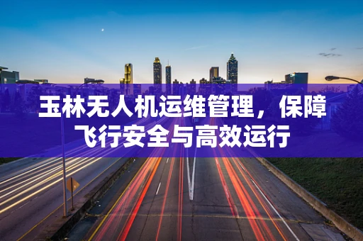 玉林无人机运维管理，保障飞行安全与高效运行