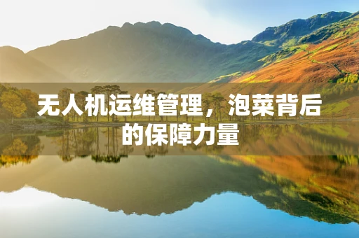 无人机运维管理，泡菜背后的保障力量
