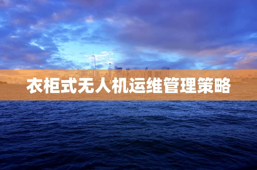 衣柜式无人机运维管理策略