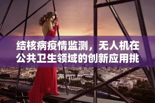 结核病疫情监测，无人机在公共卫生领域的创新应用挑战