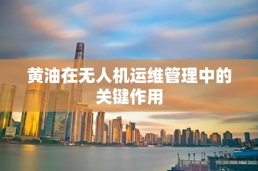 黄油在无人机运维管理中的关键作用