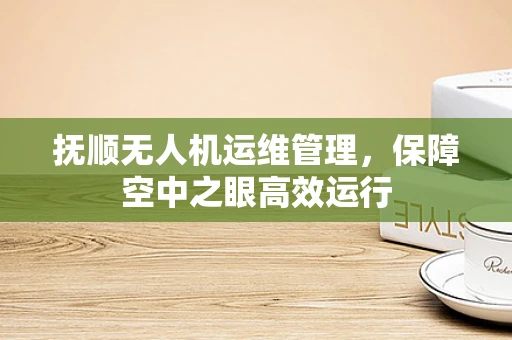 抚顺无人机运维管理，保障空中之眼高效运行