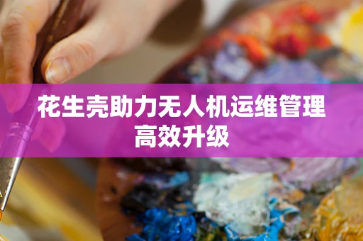 花生壳助力无人机运维管理高效升级