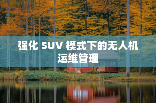 强化 SUV 模式下的无人机运维管理