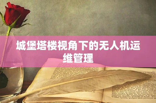 城堡塔楼视角下的无人机运维管理