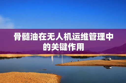 骨髓油在无人机运维管理中的关键作用
