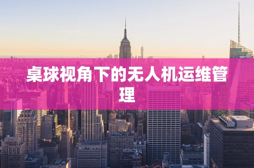 桌球视角下的无人机运维管理
