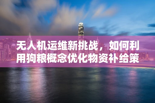 无人机运维新挑战，如何利用狗粮概念优化物资补给策略？