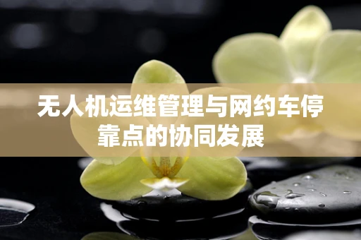 无人机运维管理与网约车停靠点的协同发展