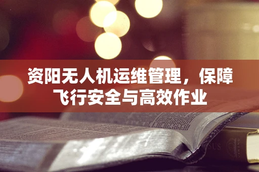 资阳无人机运维管理，保障飞行安全与高效作业