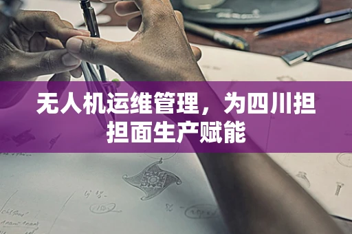 无人机运维管理，为四川担担面生产赋能