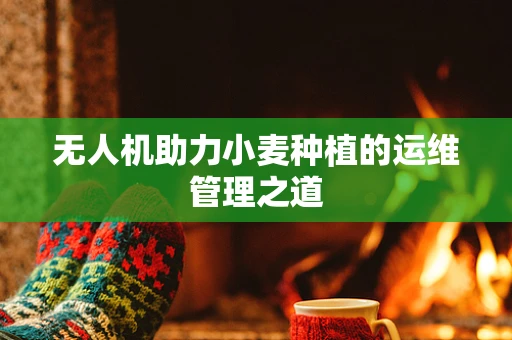 无人机助力小麦种植的运维管理之道