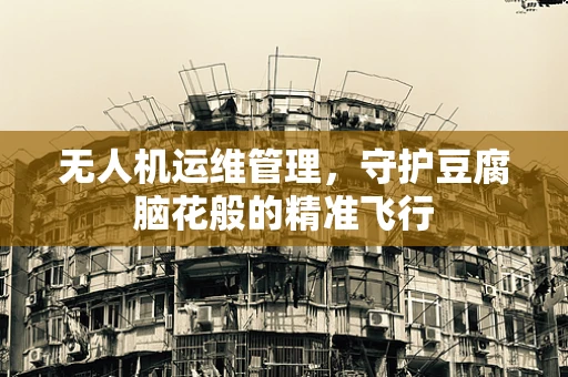 无人机运维管理，守护豆腐脑花般的精准飞行