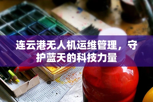 连云港无人机运维管理，守护蓝天的科技力量