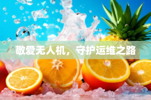 敬爱无人机，守护运维之路