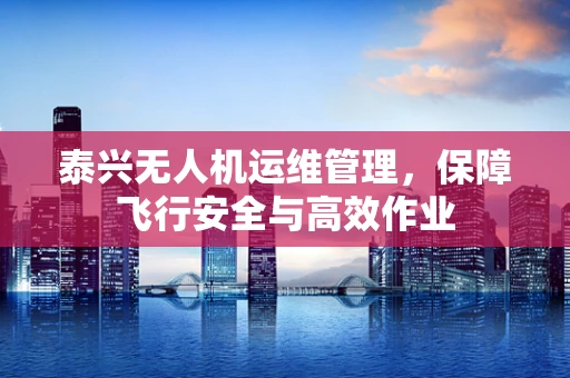 泰兴无人机运维管理，保障飞行安全与高效作业