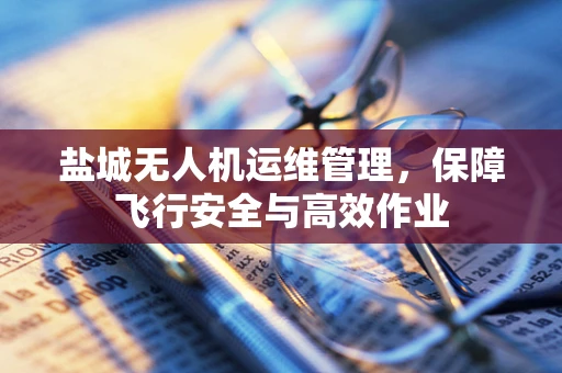 盐城无人机运维管理，保障飞行安全与高效作业