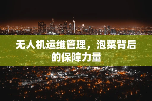 无人机运维管理，泡菜背后的保障力量