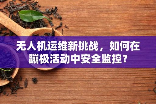 无人机运维新挑战，如何在蹦极活动中安全监控？