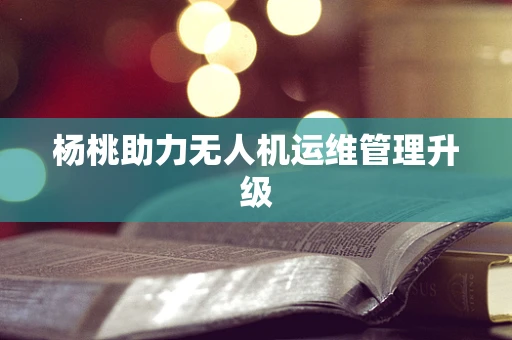 杨桃助力无人机运维管理升级
