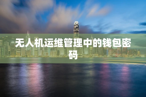 无人机运维管理中的钱包密码