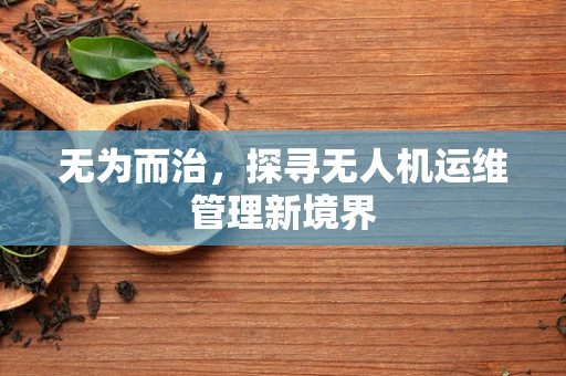 无为而治，探寻无人机运维管理新境界