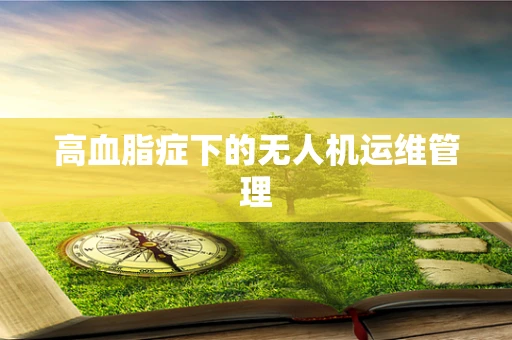 高血脂症下的无人机运维管理