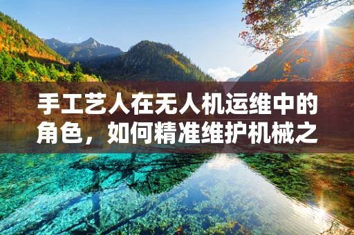 手工艺人在无人机运维中的角色，如何精准维护机械之翼？