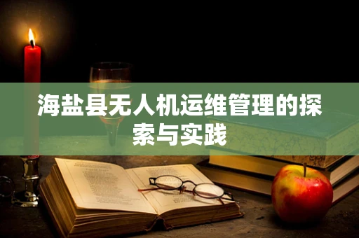 海盐县无人机运维管理的探索与实践