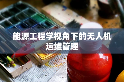 能源工程学视角下的无人机运维管理
