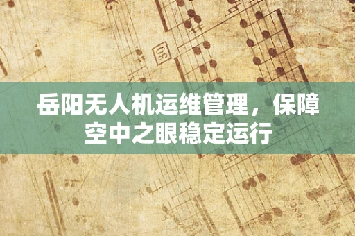 岳阳无人机运维管理，保障空中之眼稳定运行