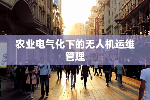 农业电气化下的无人机运维管理