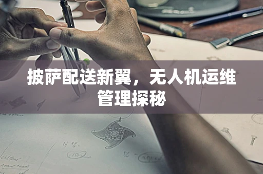 披萨配送新翼，无人机运维管理探秘