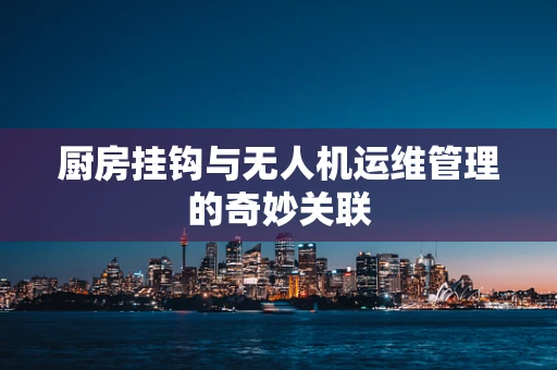 厨房挂钩与无人机运维管理的奇妙关联