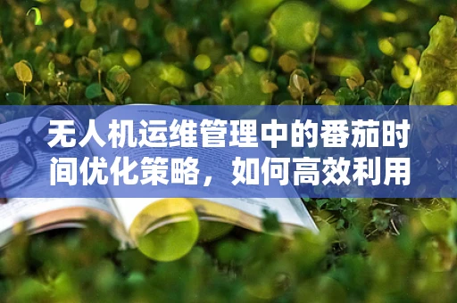 无人机运维管理中的番茄时间优化策略，如何高效利用任务间隔？